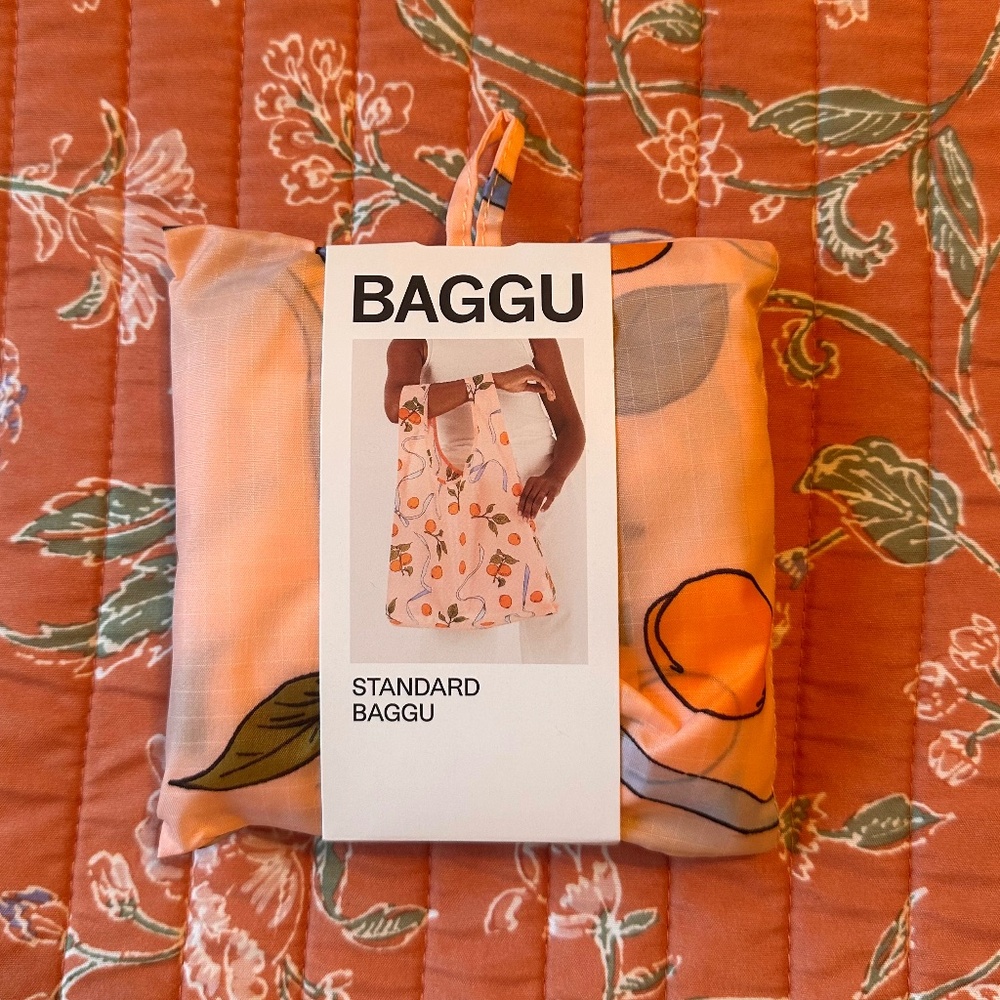 Apricots & Ribbons standard Baggu bag!